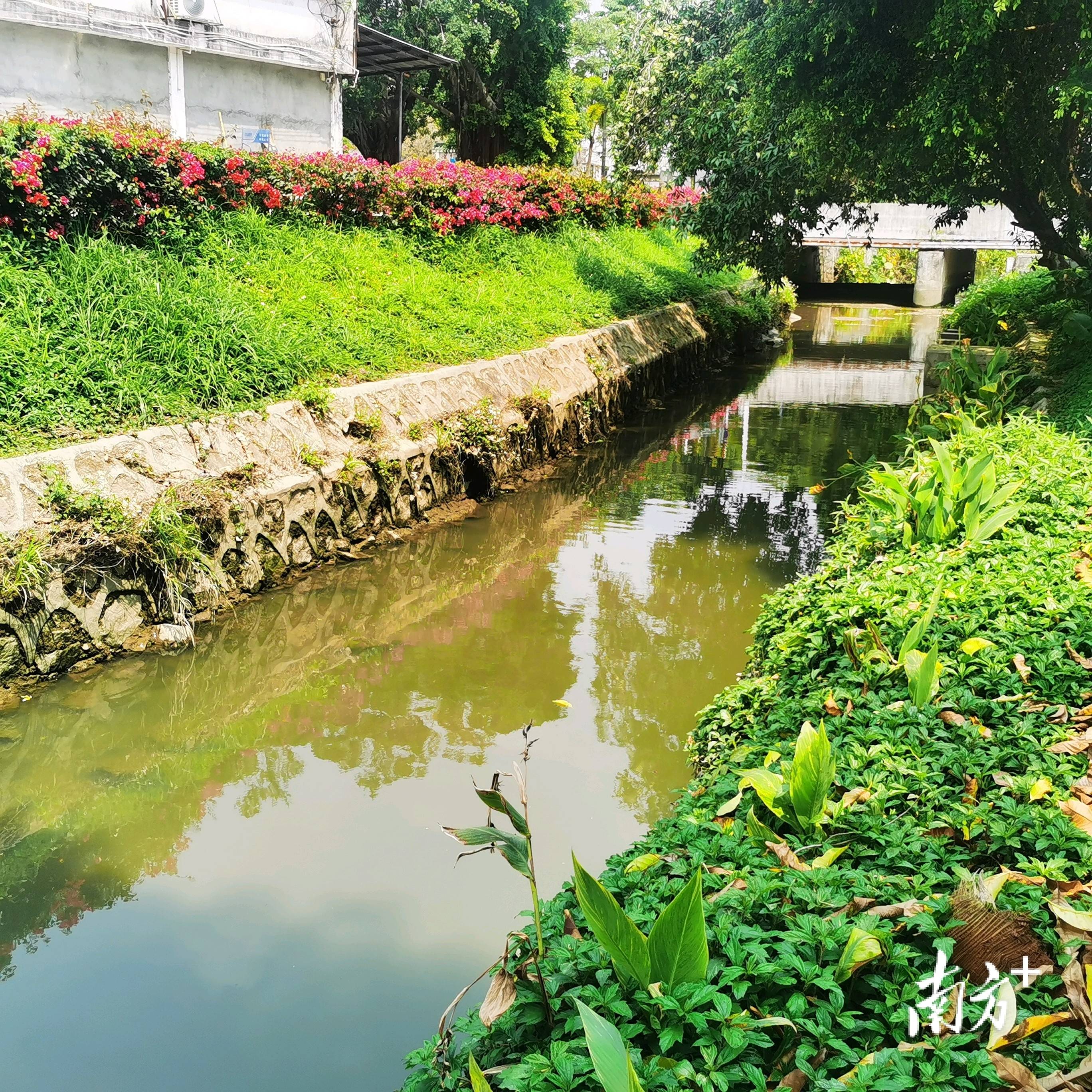 臭河涌變景觀帶，家門口享受“公園20分鐘效應(yīng)”｜中山干部群眾話“百千萬(wàn)工程”治水:景觀工程