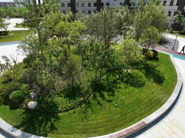 喜報 |陜西柳林酒業(yè)集團有限公司榮獲市級“園林式單位”榮譽稱號:園林公司
